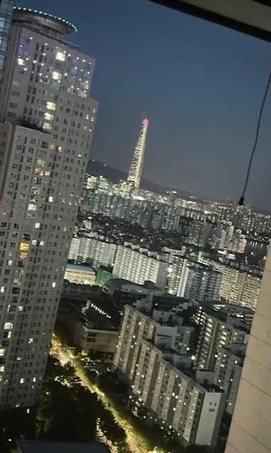 首爾Luxury & Duplex Penthouse公寓 0*, 首爾 韩国