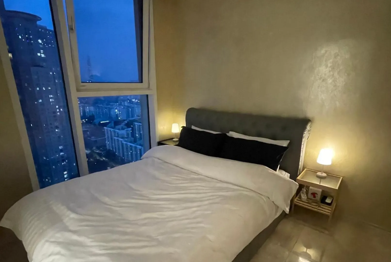 首爾Luxury & Duplex Penthouse公寓 0*, 首爾